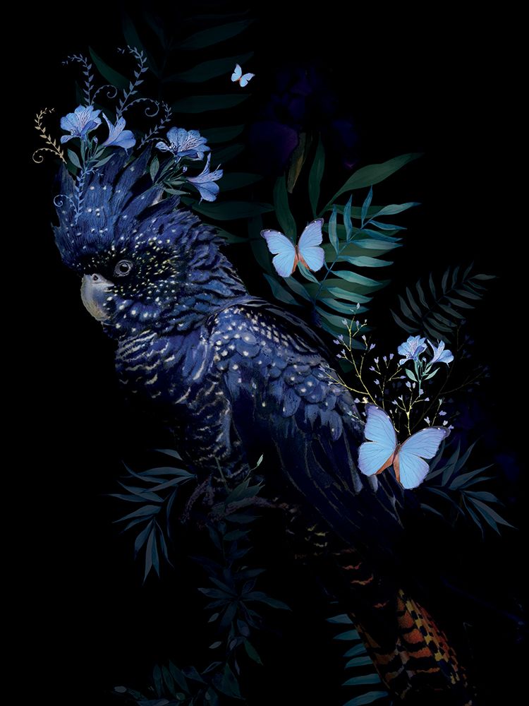 Cockatoo art print by Summer Thornton for $57.95 CAD