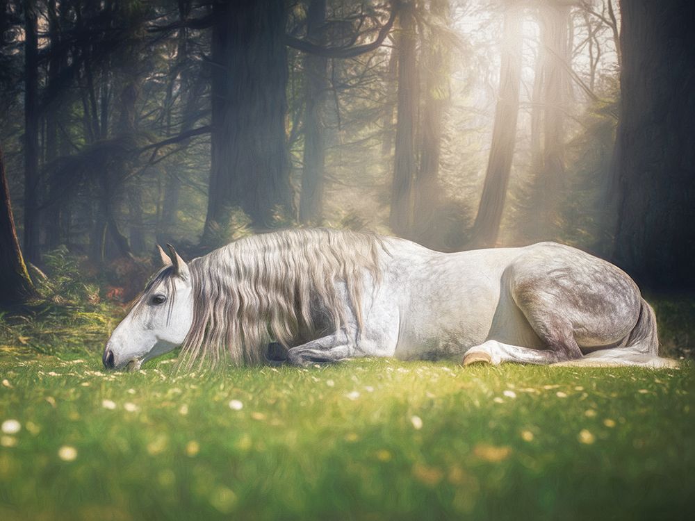 Dream Impossible Things art print by Lisa Saint for $57.95 CAD