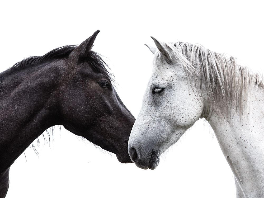 Light To Your Dark art print by Lisa Saint for $57.95 CAD