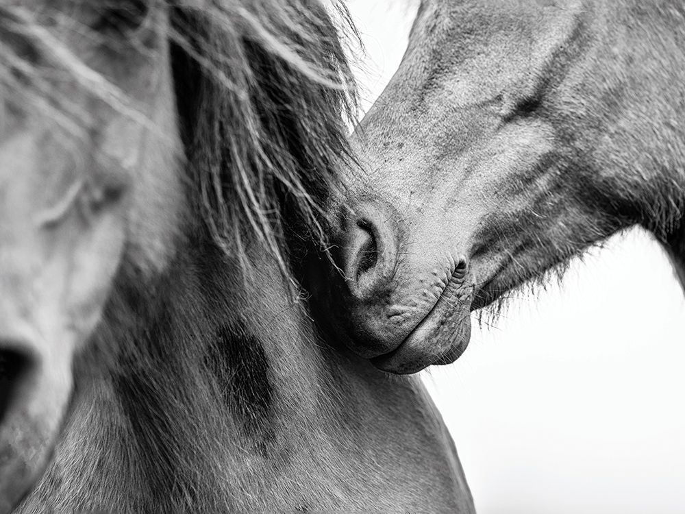 Love II art print by Lisa Saint for $57.95 CAD