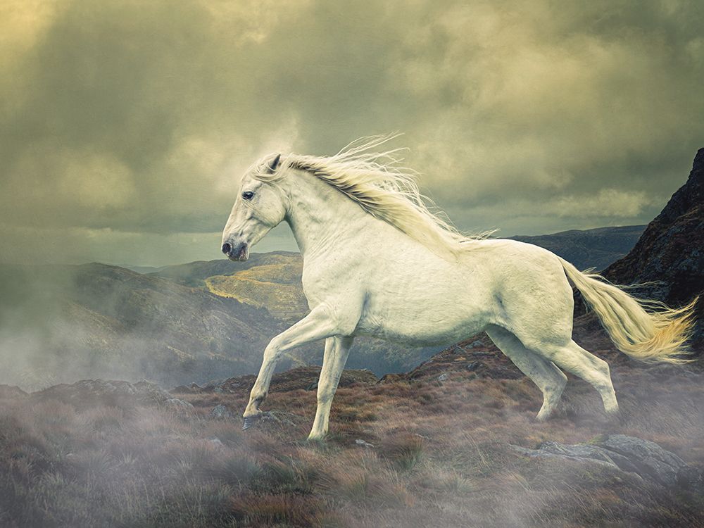 Race The Storm art print by Lisa Saint for $57.95 CAD