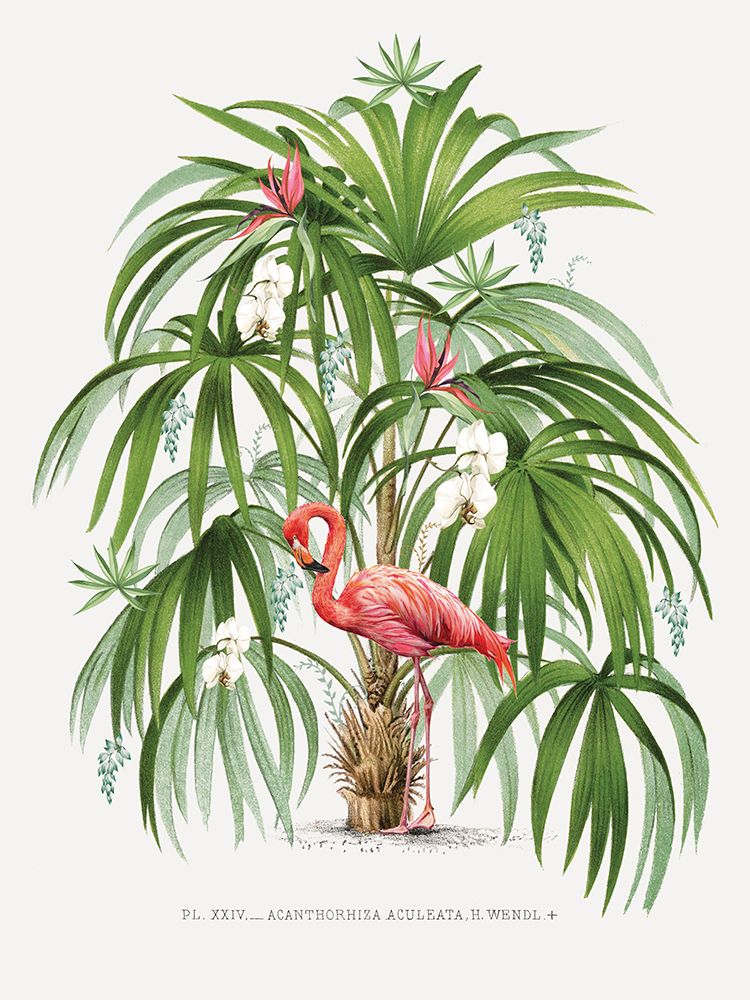 Flamingo Palm art print by Summer Thornton for $57.95 CAD