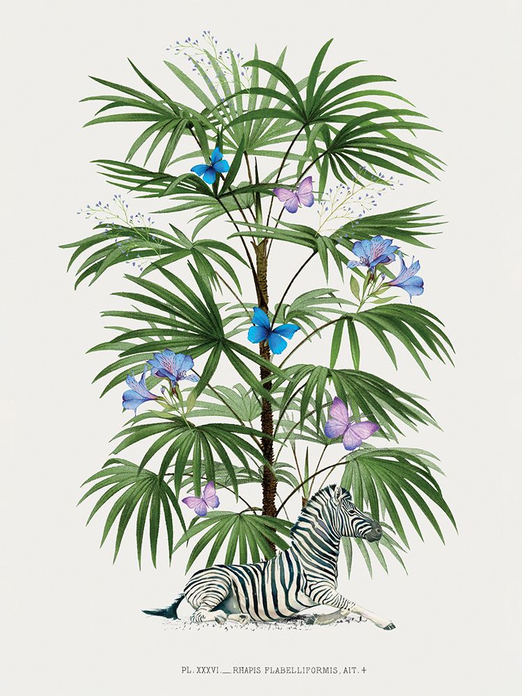 Zebra Palm art print by Summer Thornton for $57.95 CAD