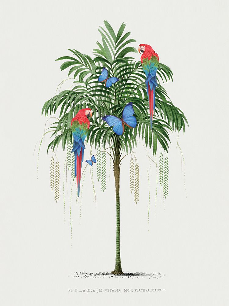 Parrot Palm art print by Summer Thornton for $57.95 CAD