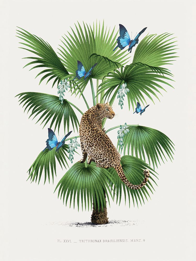 Leopard Palm art print by Summer Thornton for $57.95 CAD