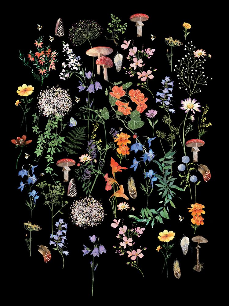 Wild Walk art print by Summer Thornton for $57.95 CAD