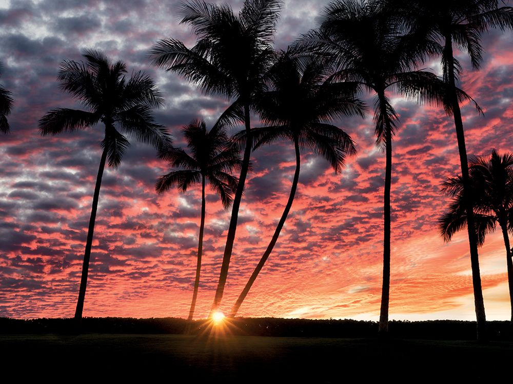 Hawaiian Sunset art print by Dennis Frates for $57.95 CAD