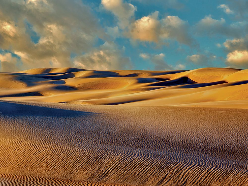 Oregon Dunes at Sunset art print by Dennis Frates for $57.95 CAD