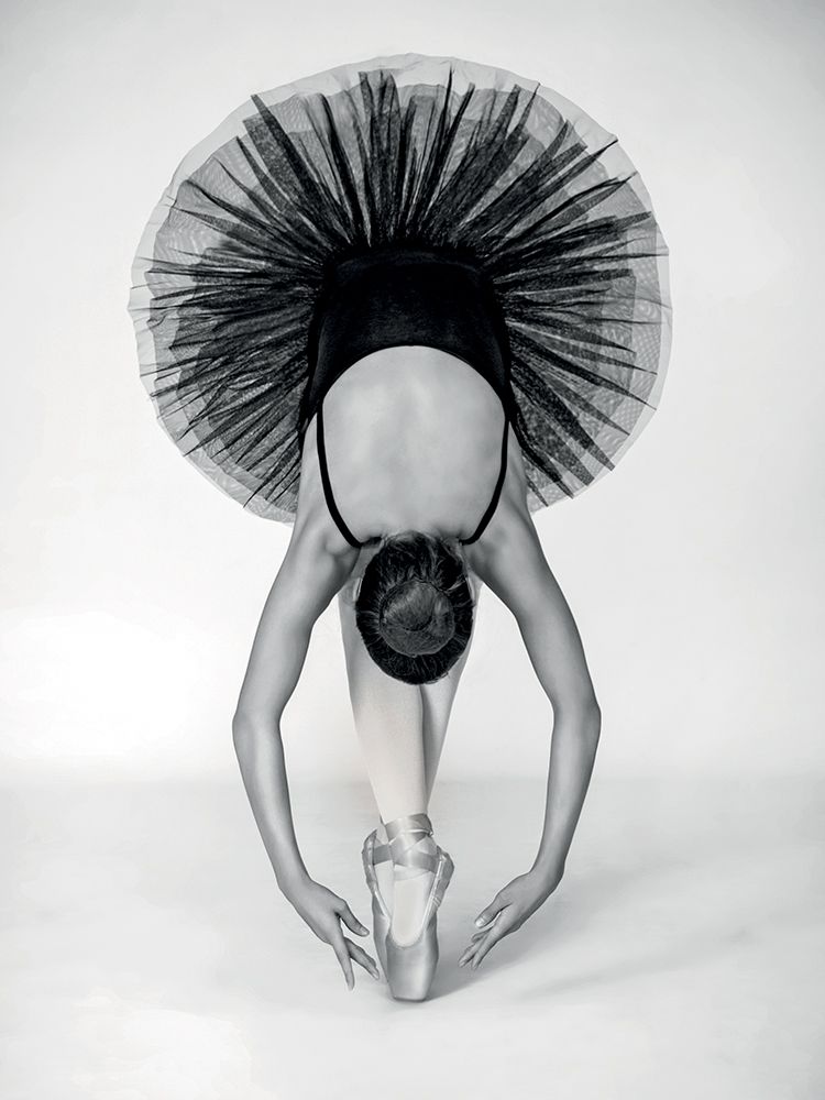 Ballet Technique art print by Pauline Pentony for $57.95 CAD