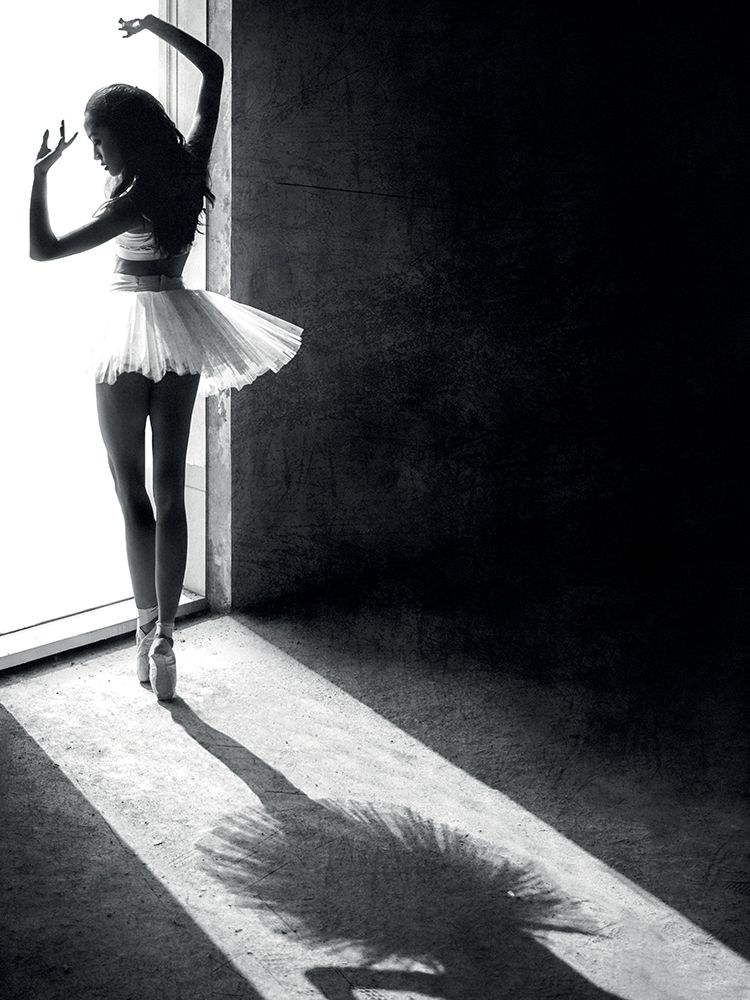 Shadow Dance art print by Sebastian Kisworo for $57.95 CAD