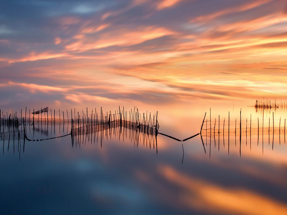 Fish Nets art print by Jose Beut for $57.95 CAD