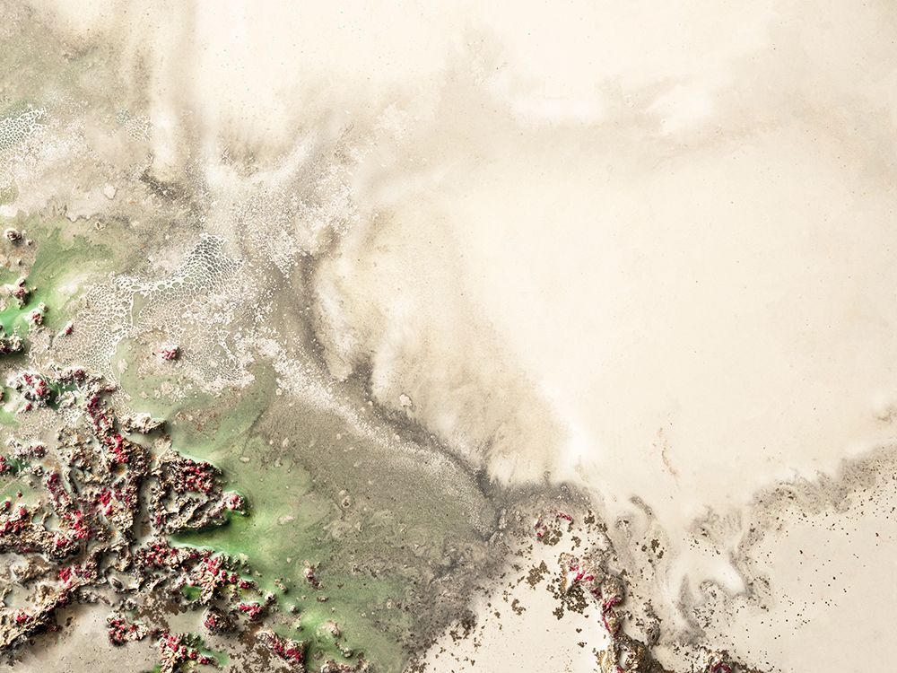 Natures Oasis art print by Petra Meikle de Vlas for $57.95 CAD