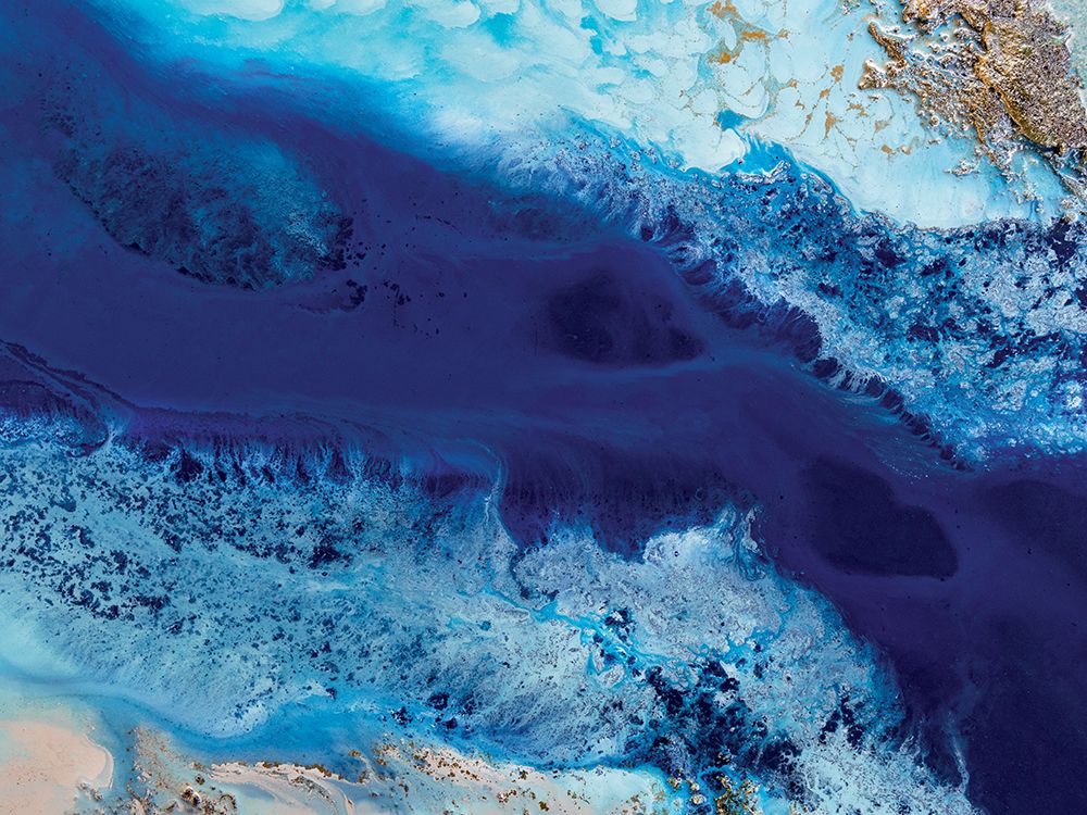 Out of the Blue art print by Petra Meikle de Vlas for $57.95 CAD