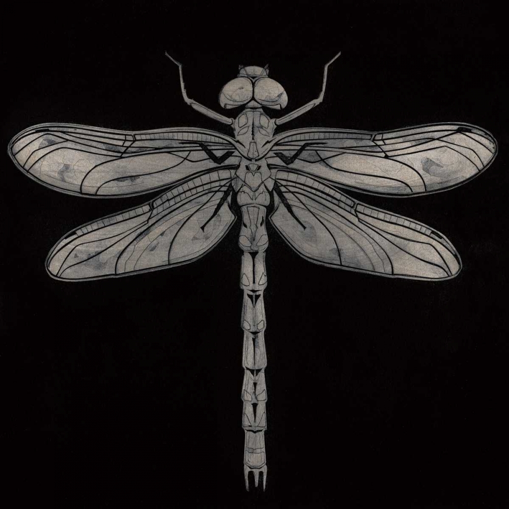 Dragonfly art print by Barry Goodman for $57.95 CAD