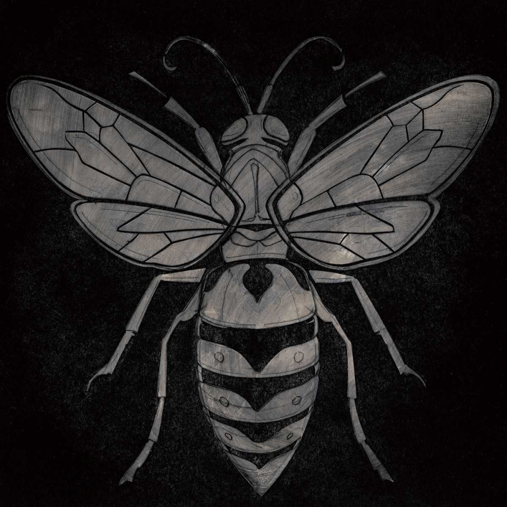 Wasp art print by Barry Goodman for $57.95 CAD