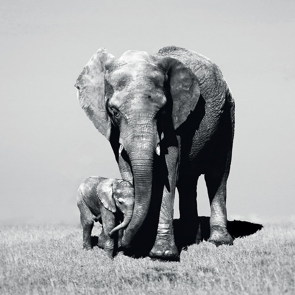 Stay Close art print by Marina Cano for $57.95 CAD