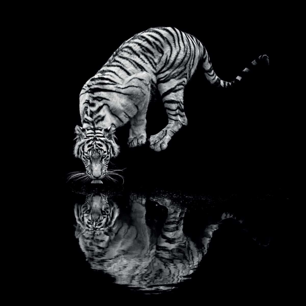 Into the Dark I art print by Marina Cano for $57.95 CAD