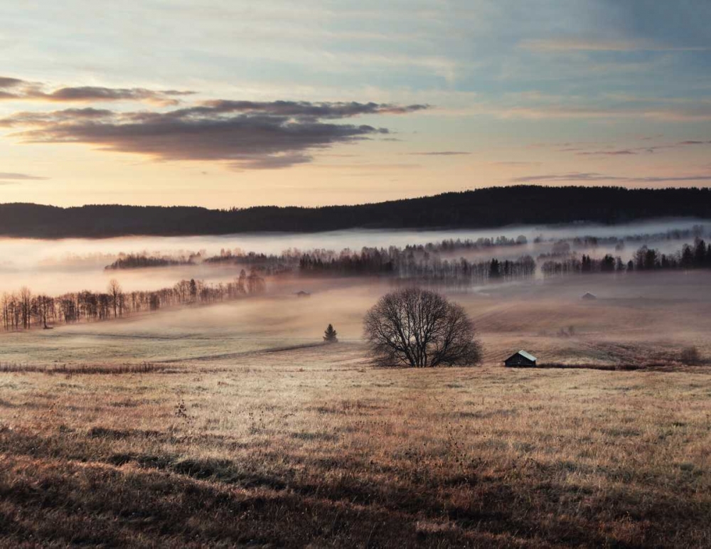 Misty Morning art print by Andreas Stridsberg for $57.95 CAD
