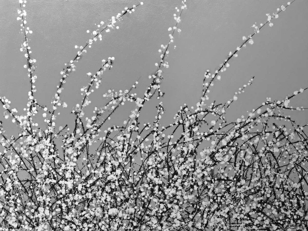 Early Blossom art print by Simon Fairless for $57.95 CAD