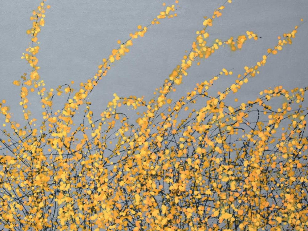 Yellow Blossom art print by Simon Fairless for $57.95 CAD
