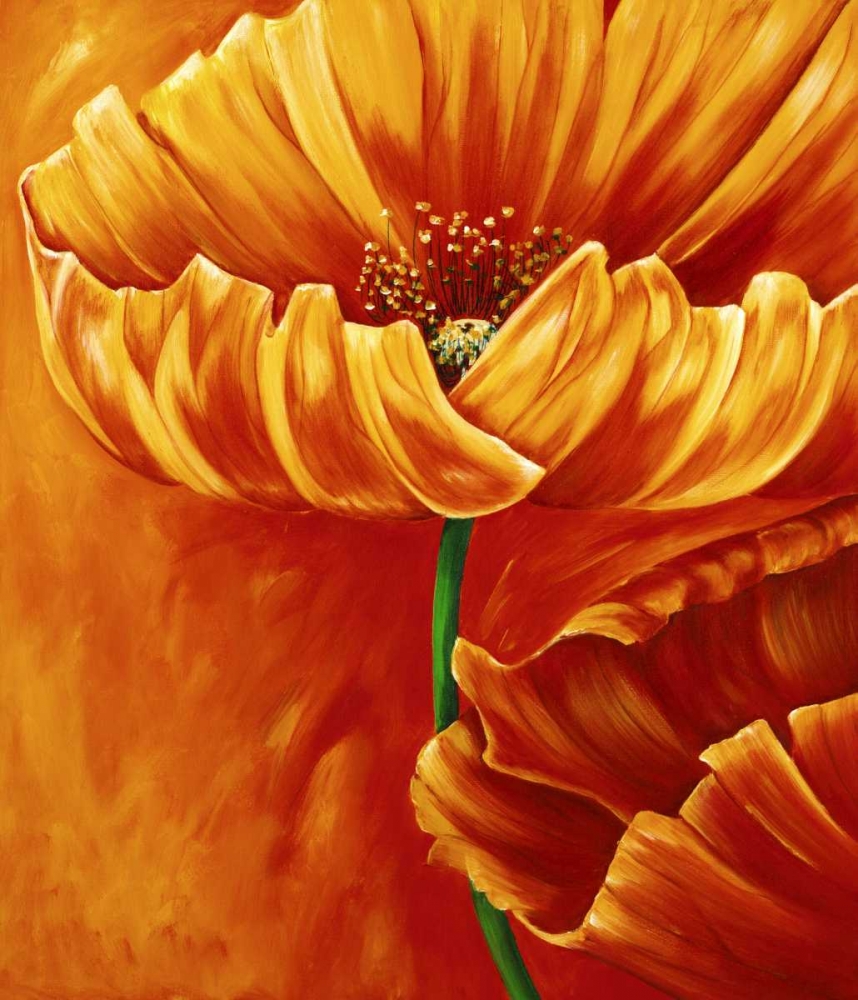 Poppies in bloom I art print by Beatrix Frederiks for $57.95 CAD