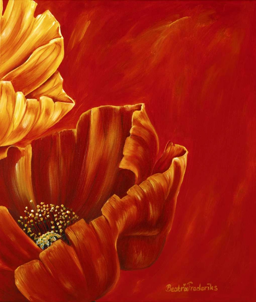 Poppies in bloom II art print by Beatrix Frederiks for $57.95 CAD