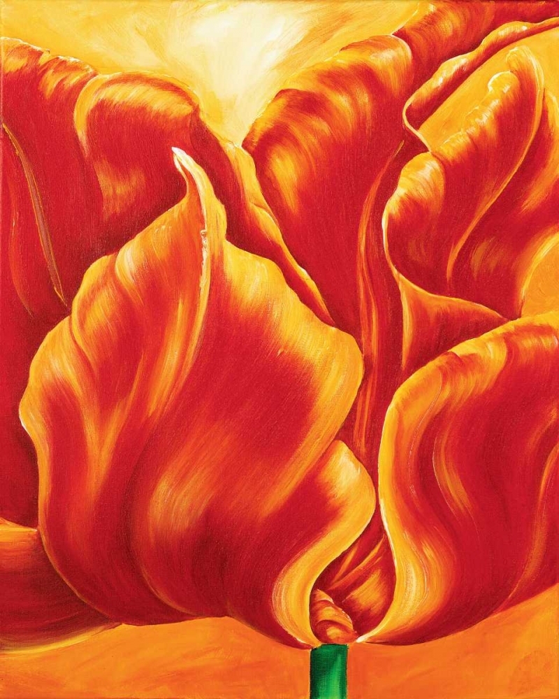 Tripple of tulips II art print by Beatrix Frederiks for $57.95 CAD