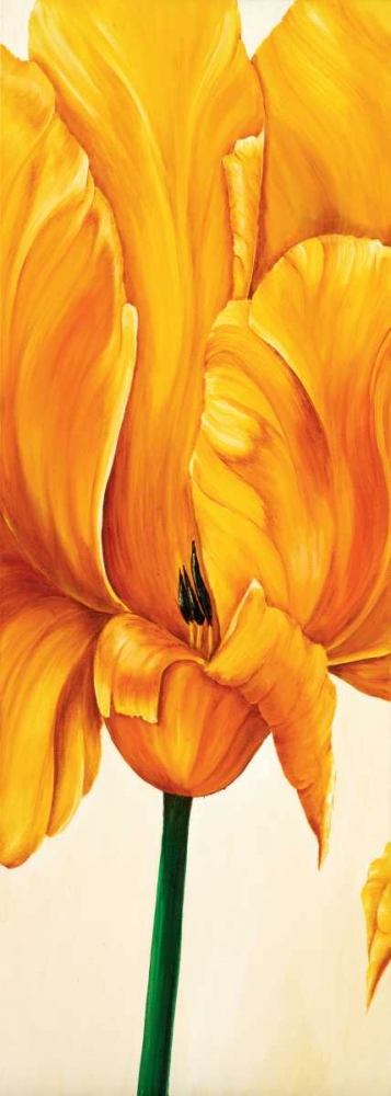 Tulips in Tryptichon I art print by Beatrix Frederiks for $57.95 CAD