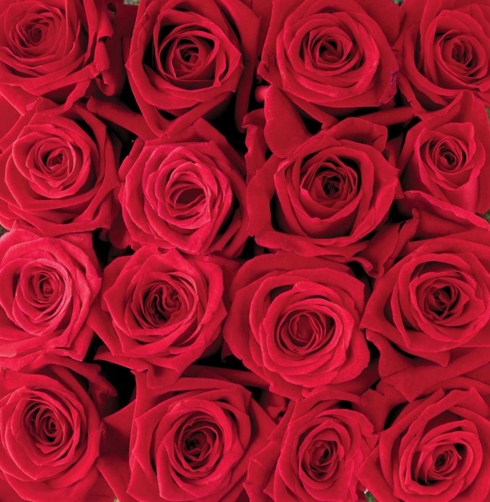 Red rose creation art print by Creatief met Bloemen for $57.95 CAD