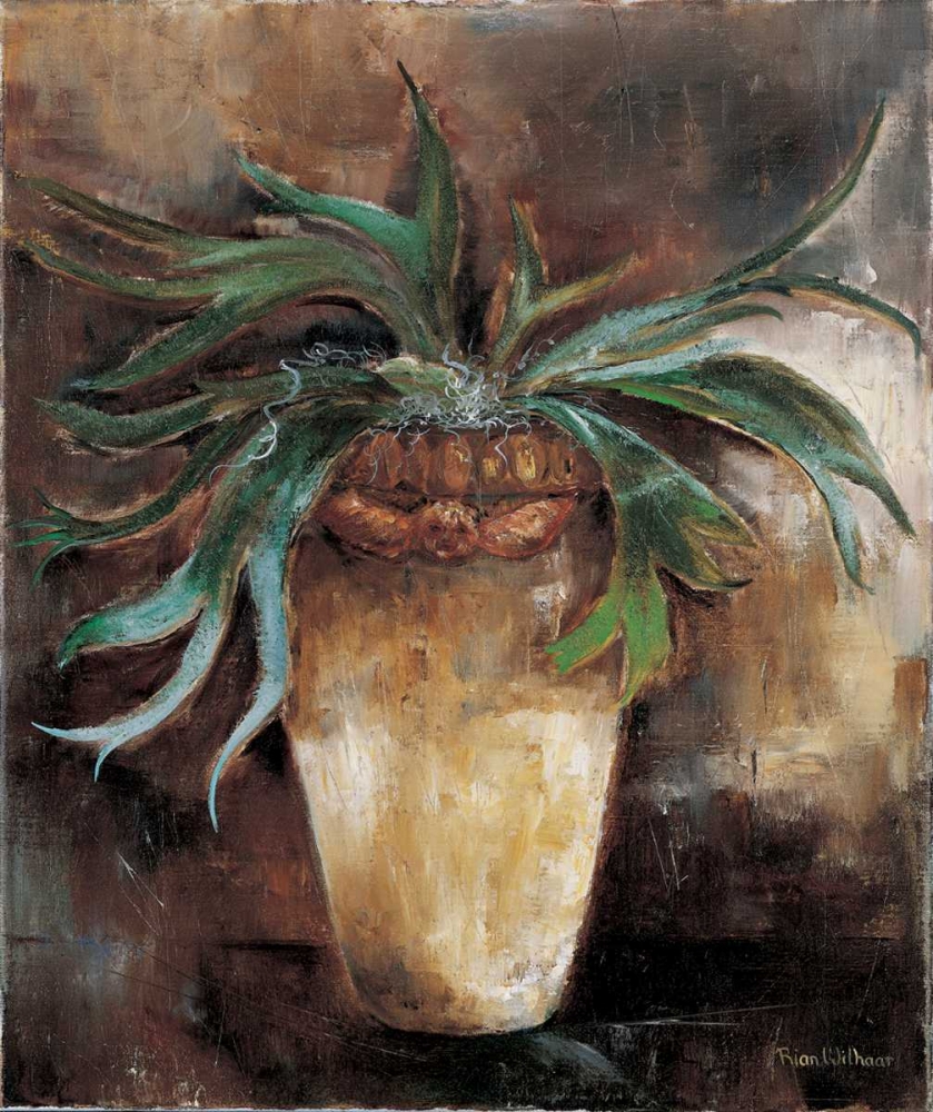 Horn Fern art print by Rian Withaar for $57.95 CAD
