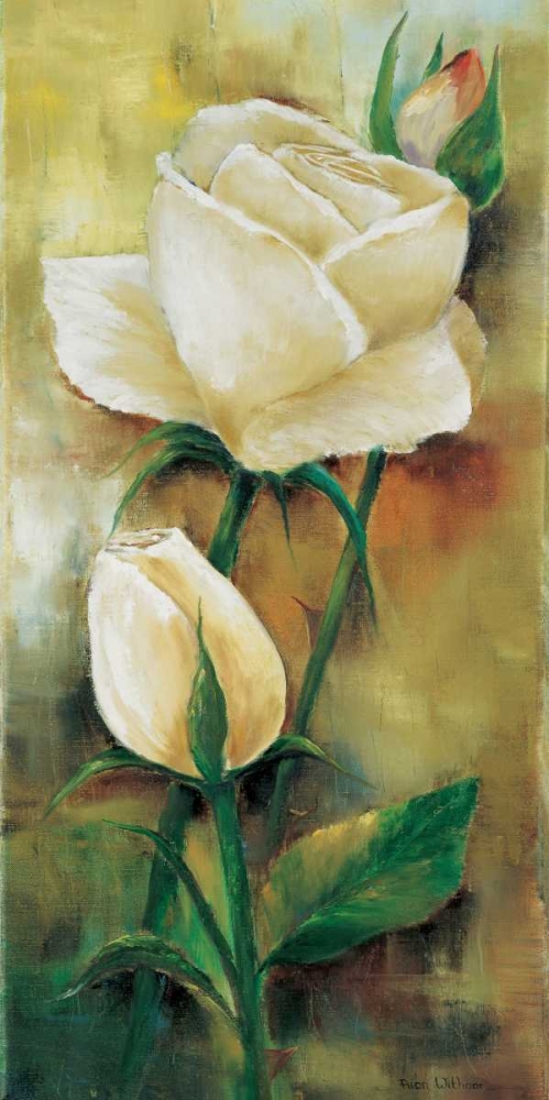 The rose I art print by Rian Withaar for $57.95 CAD