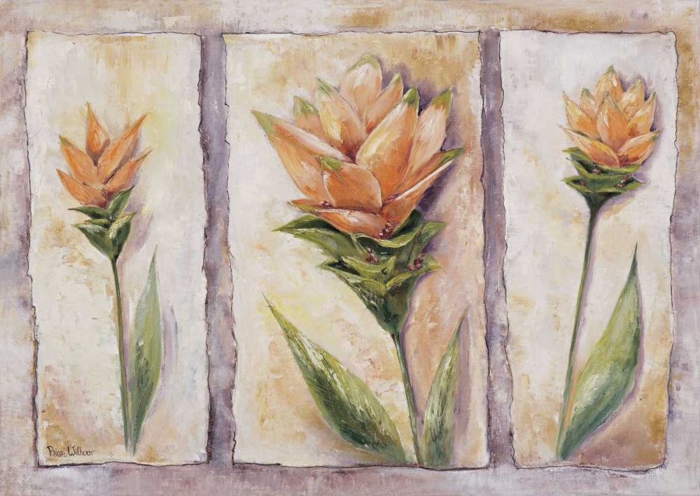 Curuma cycas art print by Rian Withaar for $57.95 CAD