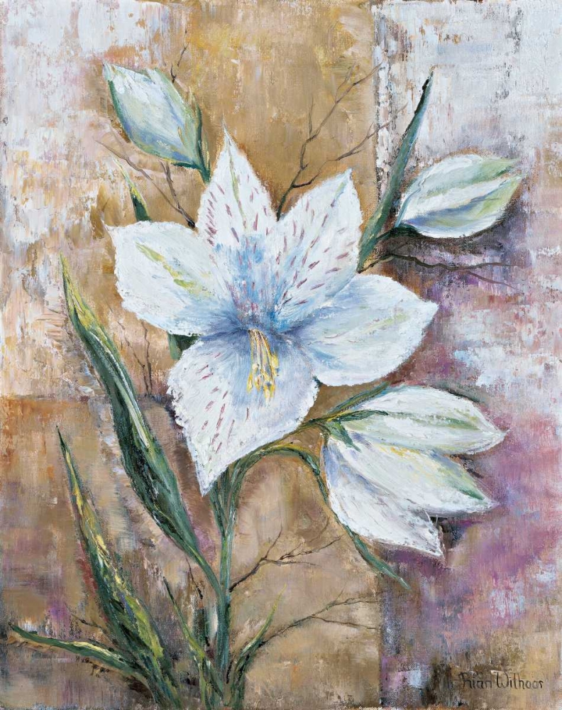 Its a gift art print by Rian Withaar for $57.95 CAD