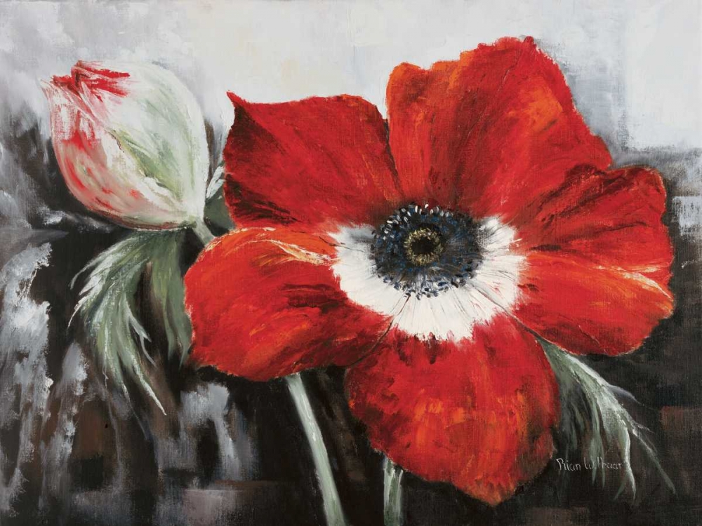 Poppy in full bloom art print by Rian Withaar for $57.95 CAD