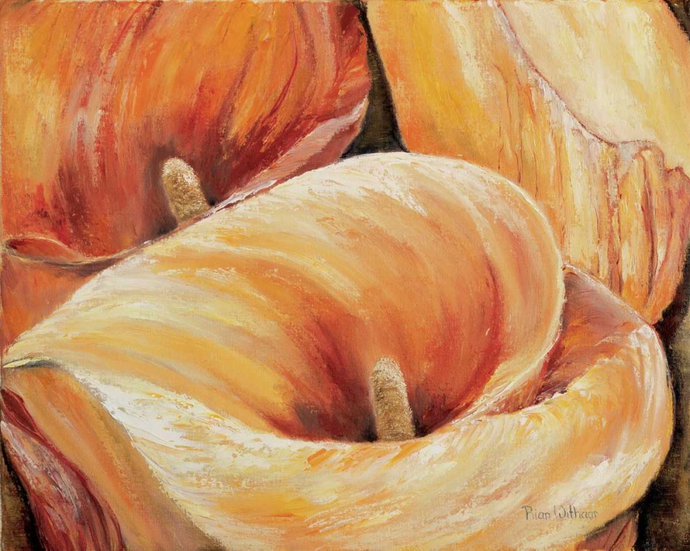 Aurum in detail art print by Rian Withaar for $57.95 CAD
