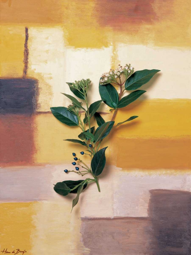 Timeless colours II art print by Hans de Bruijn for $57.95 CAD