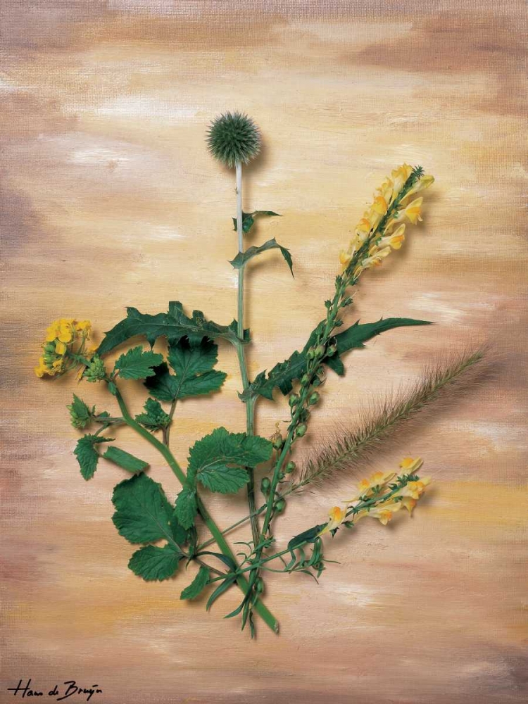 Yellow wild flowers art print by Hans de Bruijn for $57.95 CAD