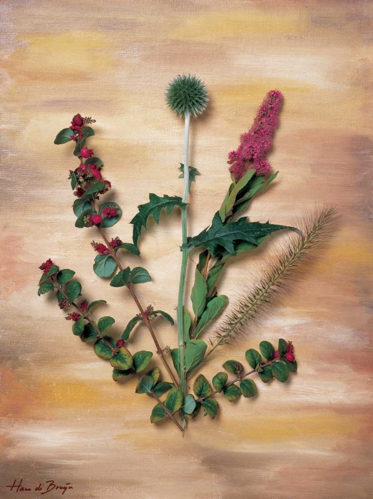 Pink wild flowers art print by Hans de Bruijn for $57.95 CAD