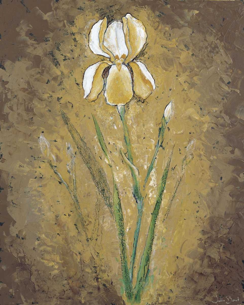 Dark side of an Amaryllis art print by Julia Bonet for $57.95 CAD