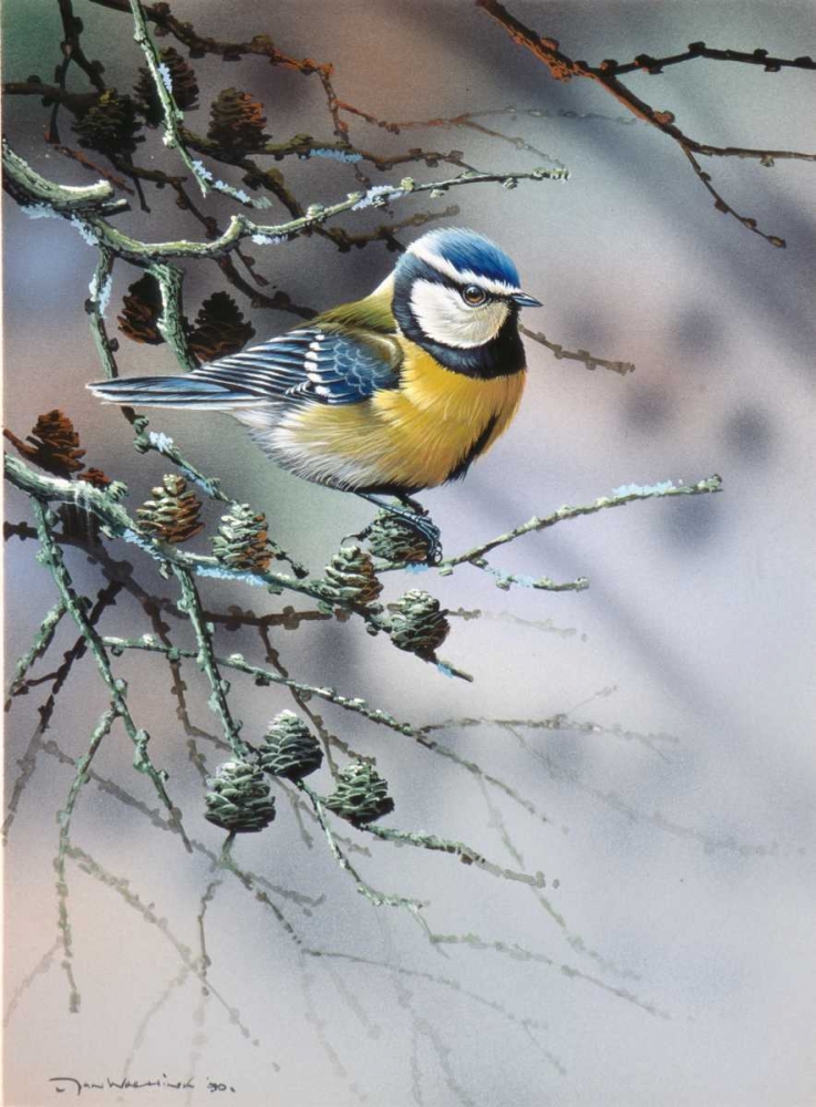 Bird in fir-tree art print by Jan Weenink for $57.95 CAD