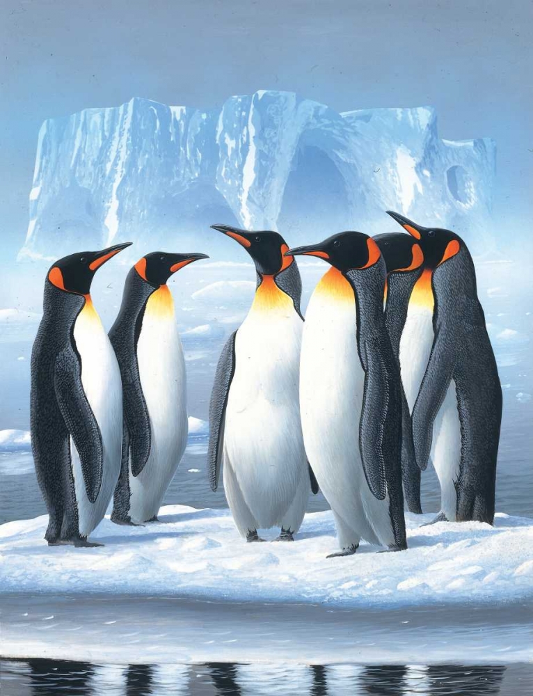 Pinguins art print by Jan Weenink for $57.95 CAD