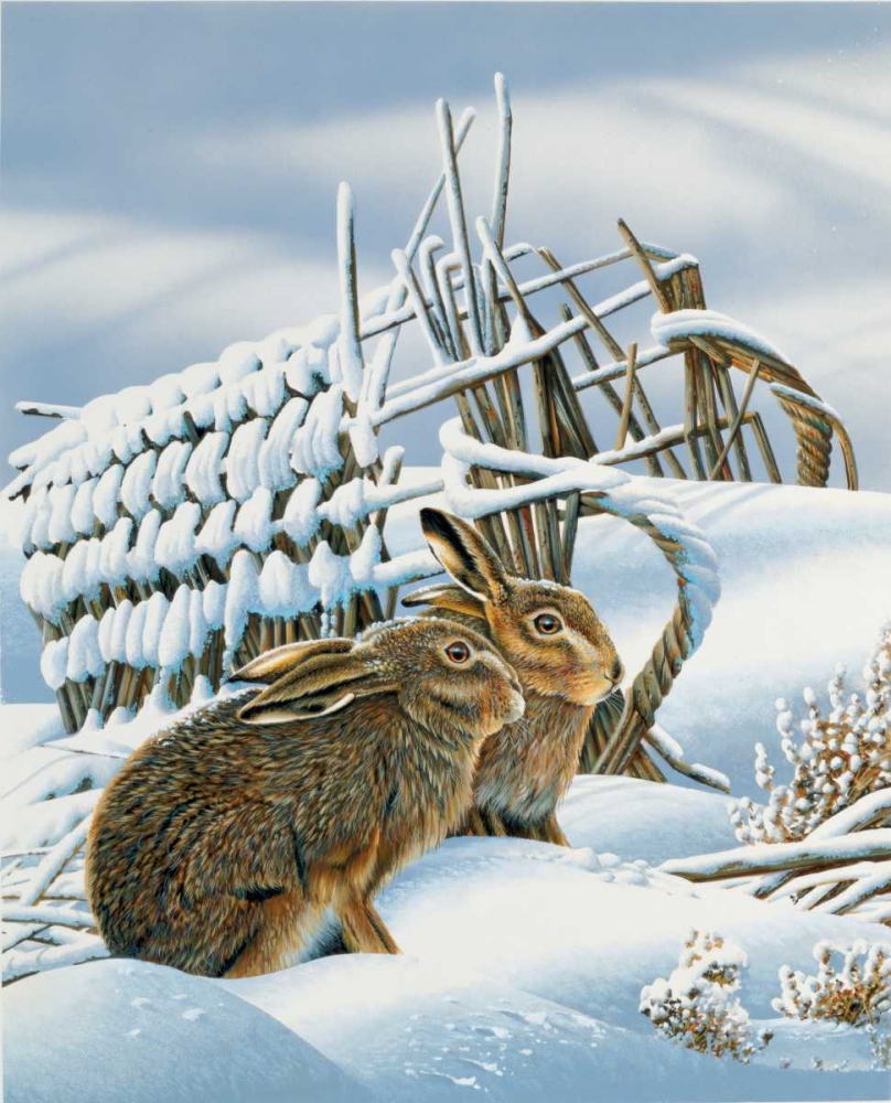 Bunnies in the snow art print by Jan Weenink for $57.95 CAD