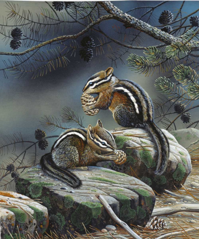 Squirrels art print by Jan Weenink for $57.95 CAD