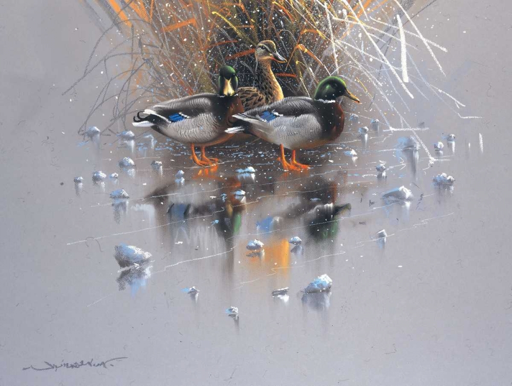 Three ducks art print by Jan Weenink for $57.95 CAD