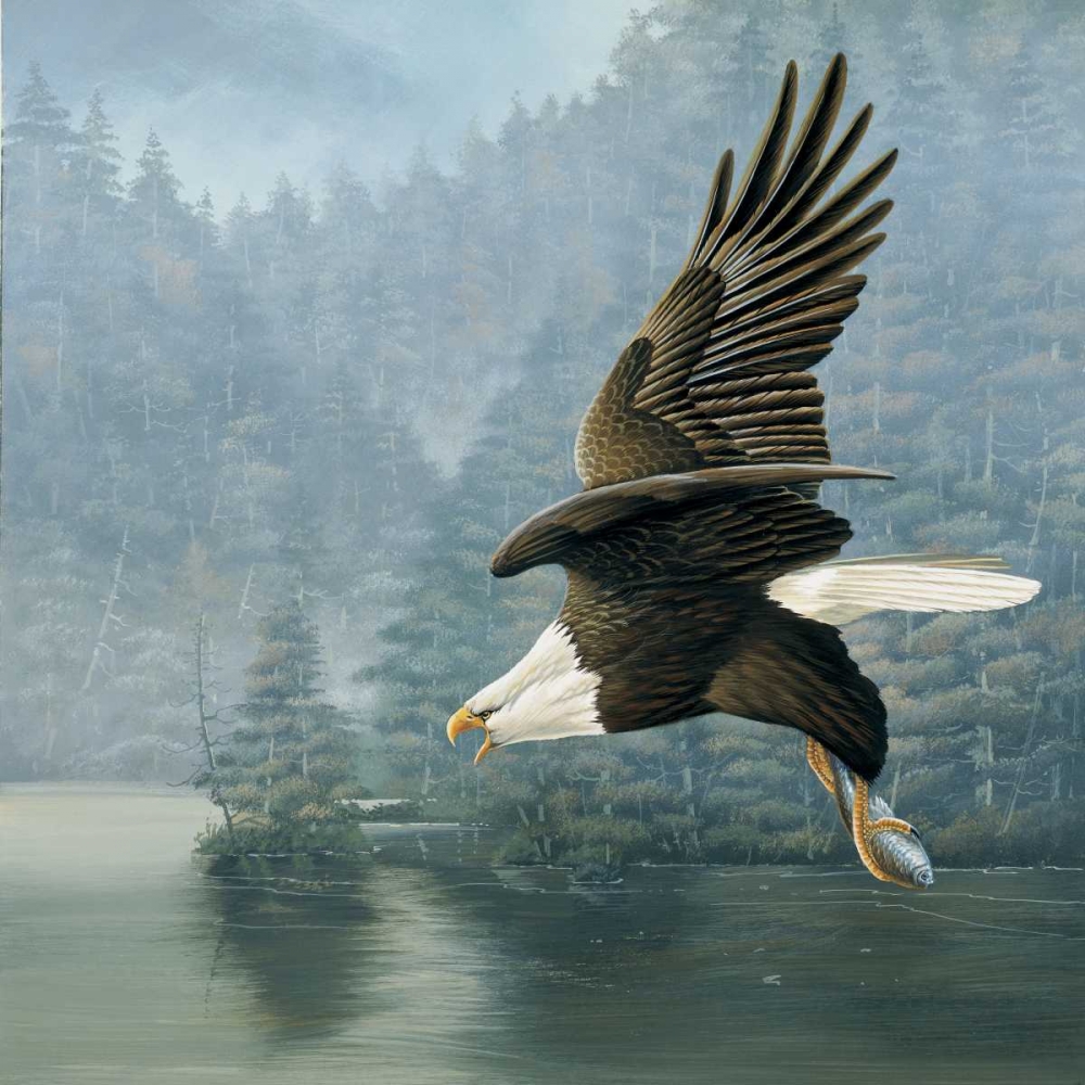 Flying eagle art print by Jan Weenink for $57.95 CAD