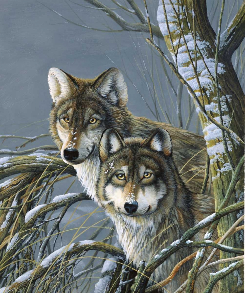 Two wolves art print by Jan Weenink for $57.95 CAD