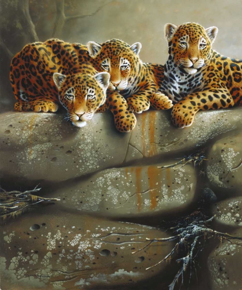 Three little tigers art print by Jan Weenink for $57.95 CAD