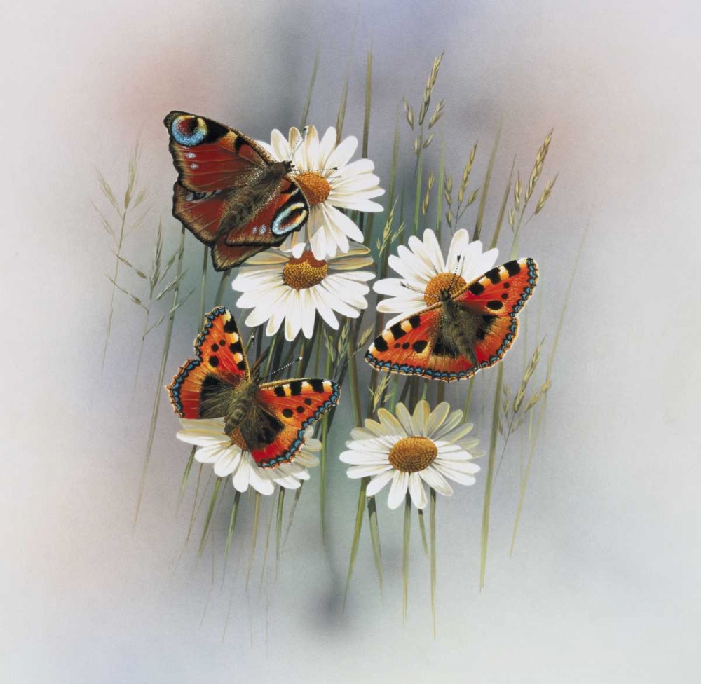 Butterflies art print by Jan Weenink for $57.95 CAD