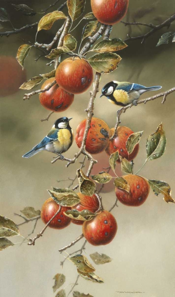Two birds in appletree art print by Jan Weenink for $57.95 CAD