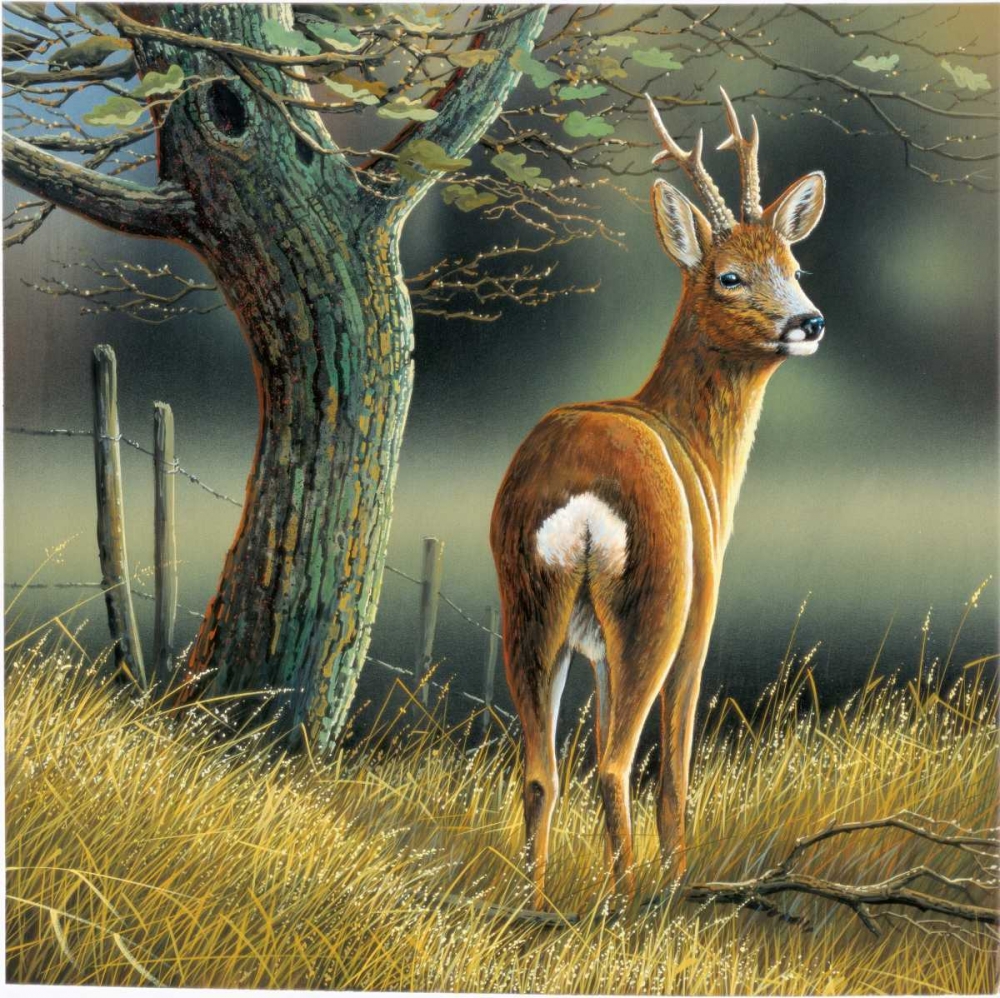 Reindeer art print by Jan Weenink for $57.95 CAD